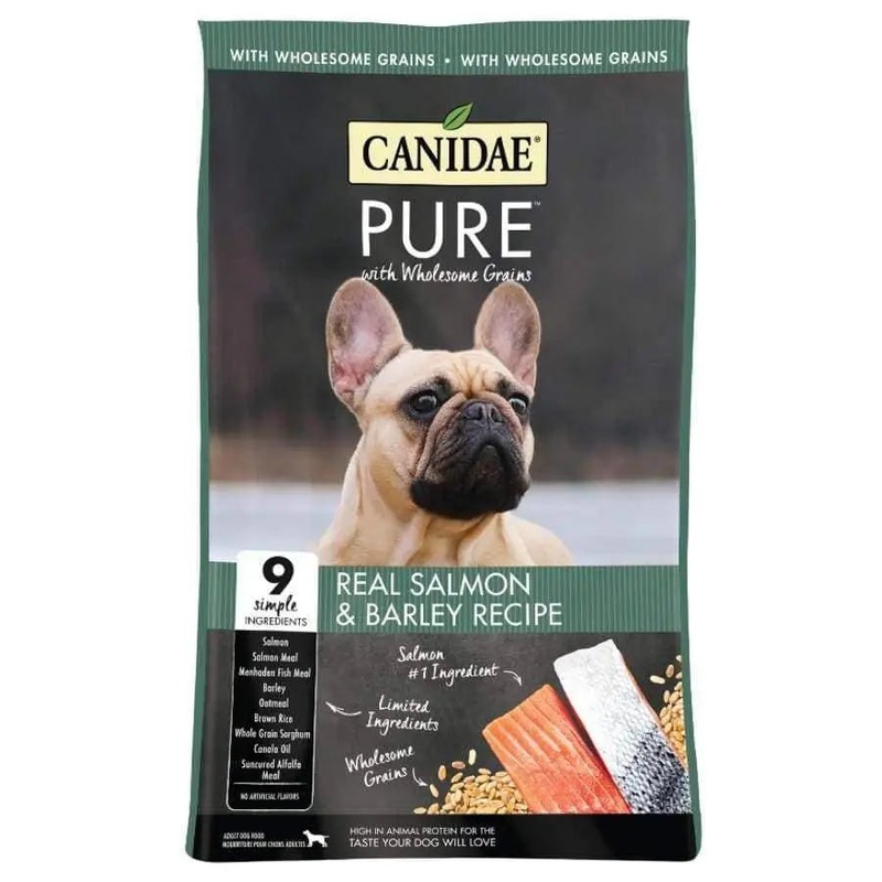 CANIDAE PURE with Wholesome Grains Real Salmon & Barley Recipe Dry Dog ...